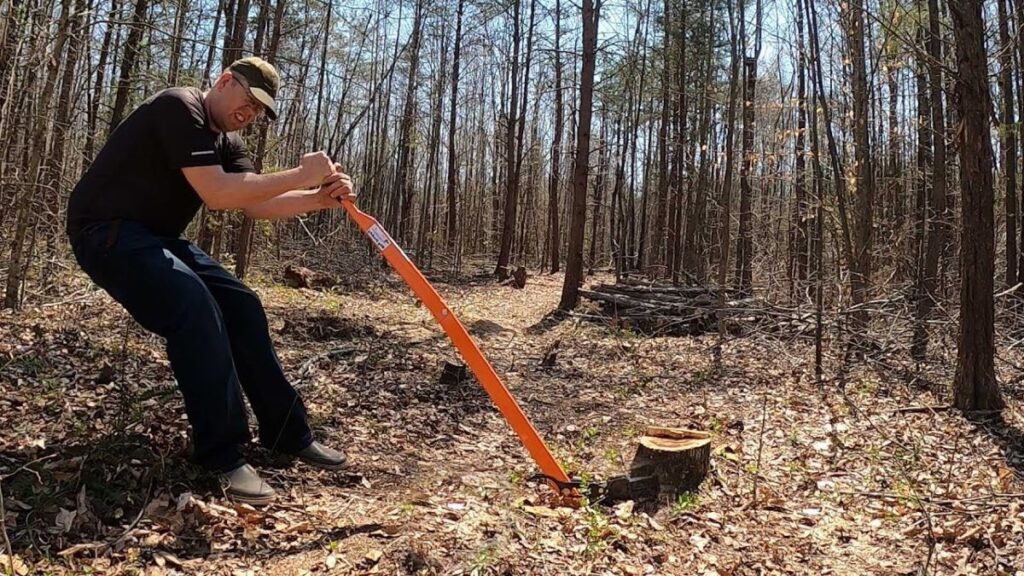 Tree and Stump Removal